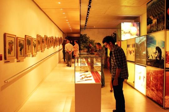 Núria Carbó. El Vinseum bat rècord de visites el Dia Internacional dels Museus