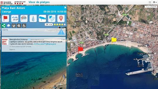 EIX. El web de platges de Protecció Civil de la Generalitat indicarà enguany la previsió de meduses al litoral fins a 48 hores abans que hi arribin