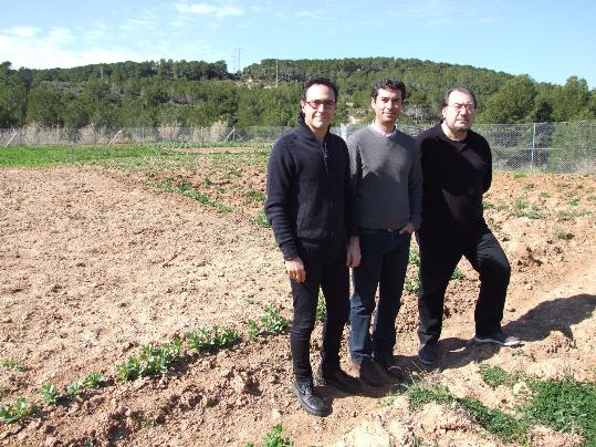Ajuntament del Vendrell. Es condiciona lhort del Fondo del Mata que es va atorgar al Col·lectiu dAturats del Baix Penedès