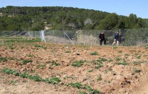 Es condiciona lhort del Fondo del Mata que es va atorgar al Col·lectiu dAturats del Baix Penedès