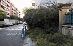 Es talla un arbre de l'escola Pompeu Fabra, després del trencament d'una de les seves branques. Ajuntament de Vilanova
