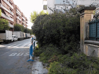 Es talla un arbre de l'escola Pompeu Fabra, després del trencament d'una de les seves branques. Ajuntament de Vilanova