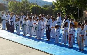 Exhibició fi de curs del Club Taekwondo Canyelles. Eix