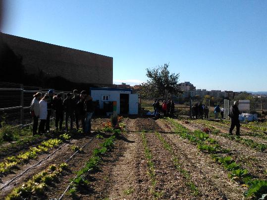 Èxit de participació a les III Jornades d’horticultura ecològica al barri de l’Espirall. Ajuntament de Vilafranca