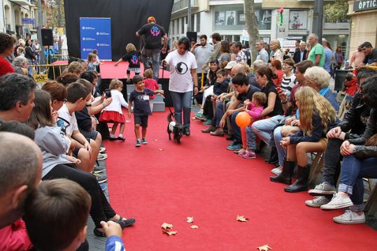 Festa de l'Animal de Vilanova i la Geltrú. Ajuntament de Vilanova