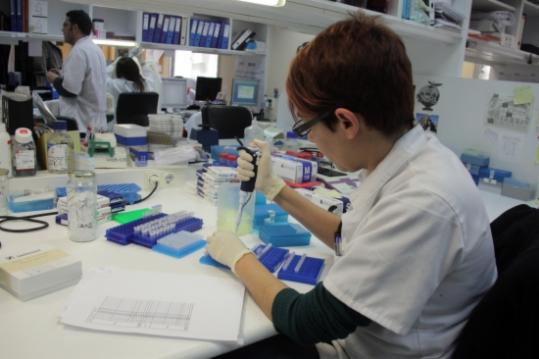 Imatge d'arxiu d'assajos al laboratori de recerca de l'Institut Català d'Oncologia. ACN