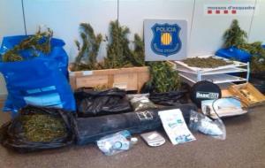 Imatge de la marihuana i alguns estris per conrear-la intervinguts per la policia al pis de Vilafranca. Mossos d'Esquadra