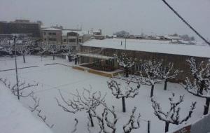Imatges de la nevada a Gelida