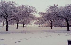 Imatges de la nevada a Vilafranca del Penedès