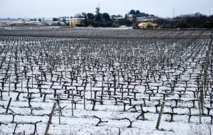 Imatges de la nevada a Vilafranca del Penedès i Olèrdola