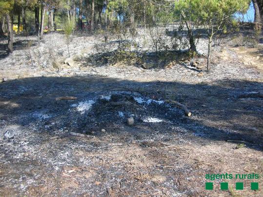Generalitat de Catalunya. Incendi originat per una calçotada sense autorització a Marganell