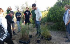 Jornada de voluntariat a les Madrigueres. Ajuntament del Vendrell