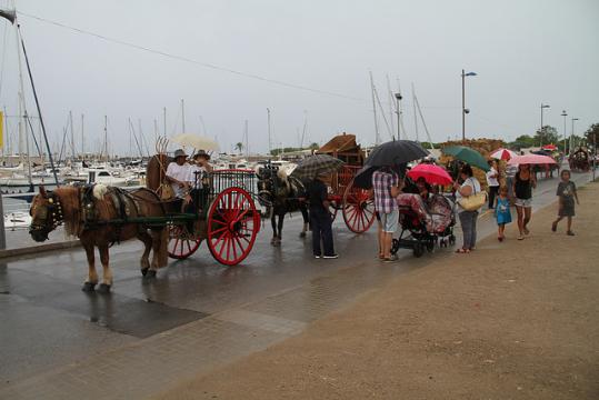 La pluja no va impedir la celebració de la Festa del Cavall a Vilanova. Ajuntament de Vilanova