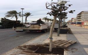 LAjuntament de Calafell ha plantat més de 200 arbres i ha creat més de 10 jardins al municipi