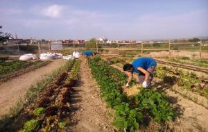 L’Ajuntament de Vilafranca contracta els deu joves participants a la Casa d’Oficis De la Terra 4 durant sis mesos. Ajuntament de Vilafranca