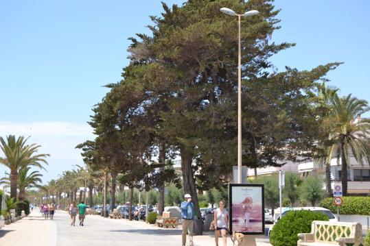 Ajuntament de Sitges. LAjuntament estalvia 100 mil euros en consum energètic