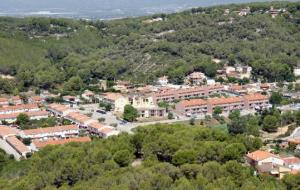 L'Ajuntament obre desenes d'expedients per la vegetació de finques i solars que envaeix la via pública. Ajuntament de Calafell