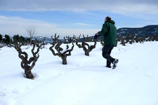 Carles Castro. L'endemà de la nevada encara s'acumulen gruixos importants a Sant Joan de Mediona