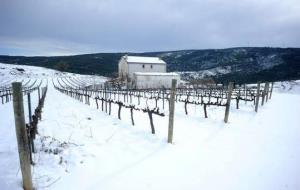 L'endemà de la nevada encara s'acumulen gruixos importants a Sant Joan de Mediona