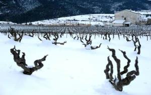 L'endemà de la nevada encara s'acumulen gruixos importants a Sant Joan de Mediona