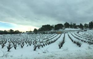 L'endemà de la nevada encara s'acumulen gruixos importants a Sant Joan de Mediona