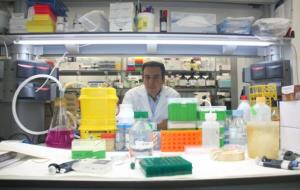 L'investigador Joan Seoane en un laboratori del VHIO, el 9 de novembre de 2015. Pla general de l'investigador. ACN