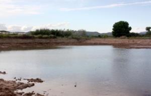 L'obertura de dues llacunes a les Madrigueres del Vendrell, primer pas per desencallar la naturalització de l'espai