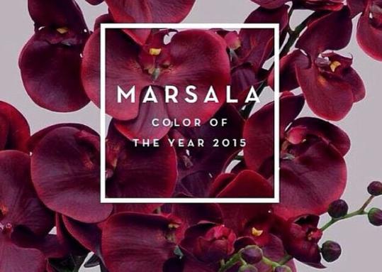 Marsala Pantone. Marsala, descobreix el color estrella del 2015