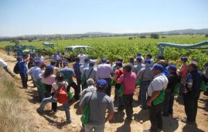 CC Alt Penedès. Més de 50 viticultors van participar en la jornada sobre calibratge d'equips
