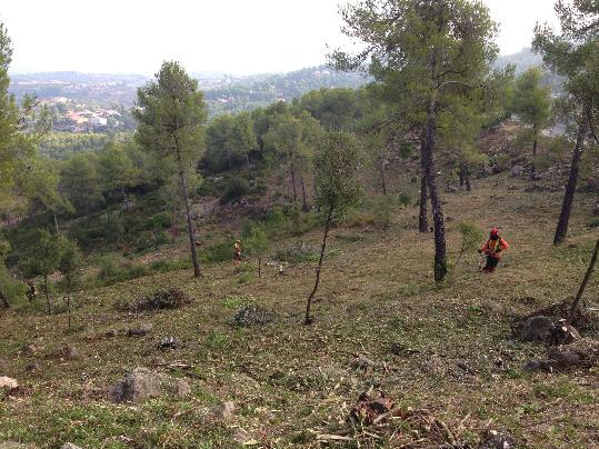 Ajuntament de Gelida. Neteja de les franges forestals dels perímetres de les urbanitzacions Safari i Martivell, l'any passat