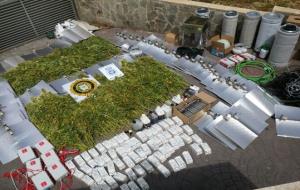 Operació policial al Vendrell amb quatre detinguts i un miler de plantes de marihuana comissades