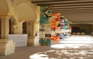 “Passeig artitzat” pels espais de Vilafranca que acullen projectes i obres artístiques