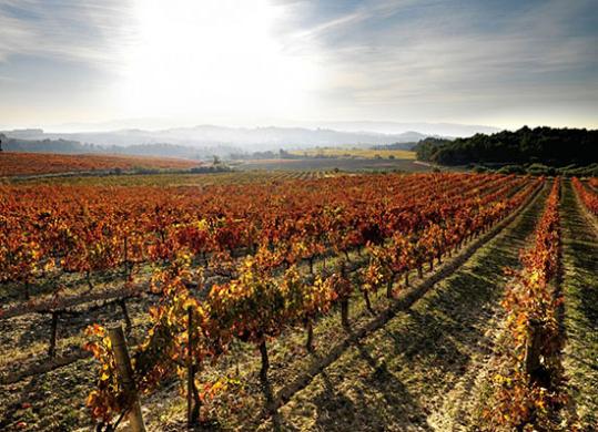 Eix. Penedès