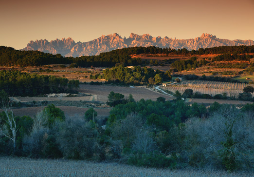 Oriol Alamany . Penedès