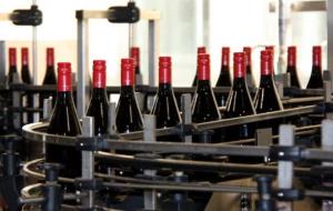 Pla general de diverses ampolles de vi negre durant el procés d'embotellament i etiquetatge