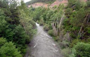 Pla general del riu Cardener, aigües avall de la presa. ACA