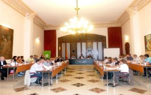 Ple al consell comarcal de l'Alt Penedès. CC Alt Penedès
