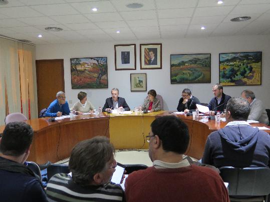 Ple de la Mancomunitat Penedès Garraf. EIX