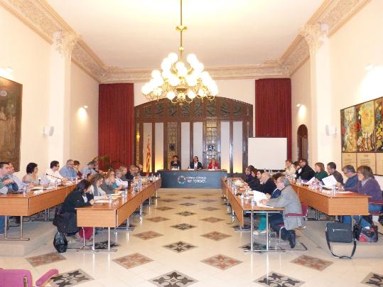 CC Alt Penedès. Ple del consell comarcal de l'Alt Penedès