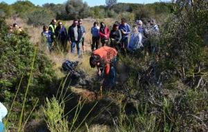 Repoblació forestal a l Ortoll