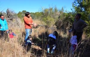 Repoblació forestal a l Ortoll