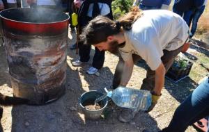 Repoblació forestal a l Ortoll