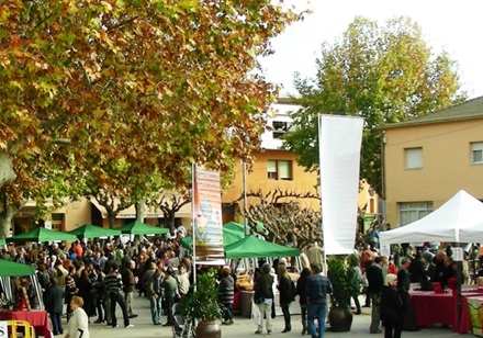 Sant Pau d'Ordal prepara l’11è Subirats Tasta’l . EIX