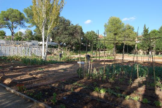 Ajt Sant Pere de Ribes. Sant Pere de Ribes obre les inscripcions per gestionar un dels horts urbans