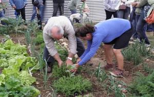 Ajuntament de Vilanova. Segona convocatòria per l'adjudicació dels horts urbans ecològics de Vilanova