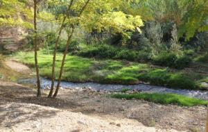 Ajt Sant Sadurní d'Anoia. Torna el cicle d'activitats 'Rius amb Vida al Penedès'