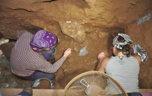 UB. Troben una mandíbula i un húmer de neandertal a la cova del Gegant de Sitges