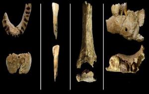 Troben una mandíbula i un húmer de neandertal a la cova del Gegant de Sitges