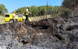 GEIF. Un incendi calcina 1,3 hectàrees de torrent sec a Torrelavit