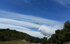 Un incendi calcina 1,3 hectàrees de torrent sec a Torrelavit